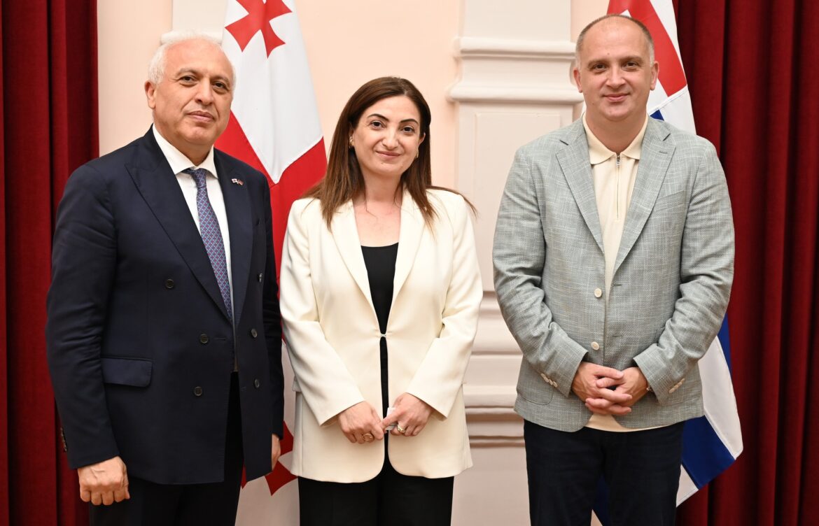 სამომავლო თანამშრომლობის პერსპექტივები განიხილეს