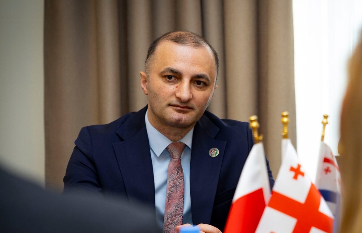 ქვემო სილეზიის დელეგაციას უმაღლეს საბჭოში უმასპინძლეს