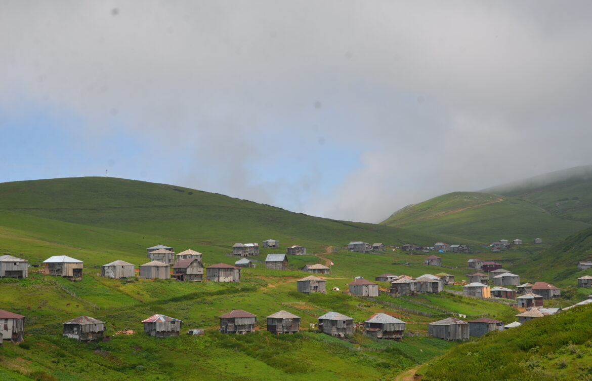 პროგრამა იწყება