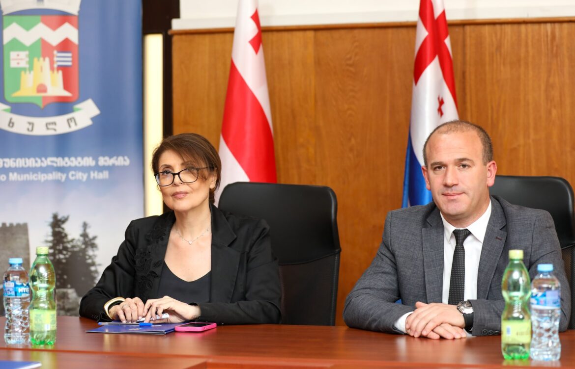 მინისტრი ხულოში კულტურის სფეროს წარმომადგენლებს შეხვდა