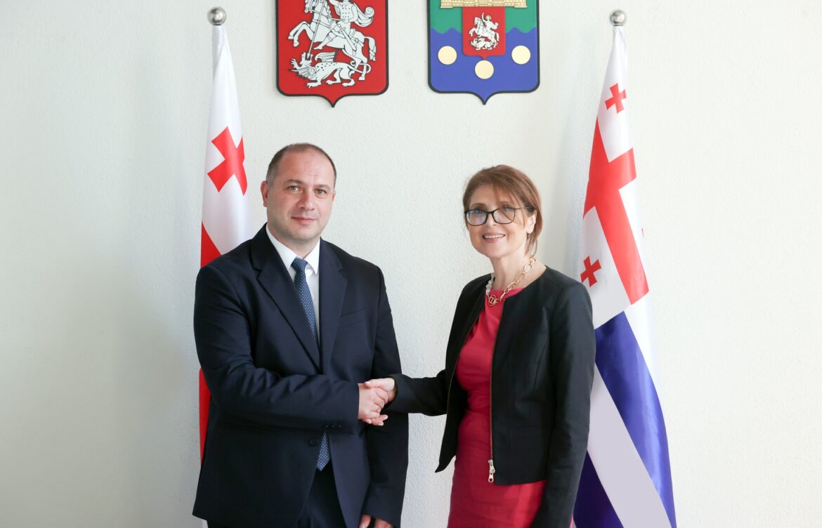 მინისტრებმა სახელოვნებო სფეროს განვითარებასა და ერთობლივი პროექტების განხორციელებაზე ისაუბრეს