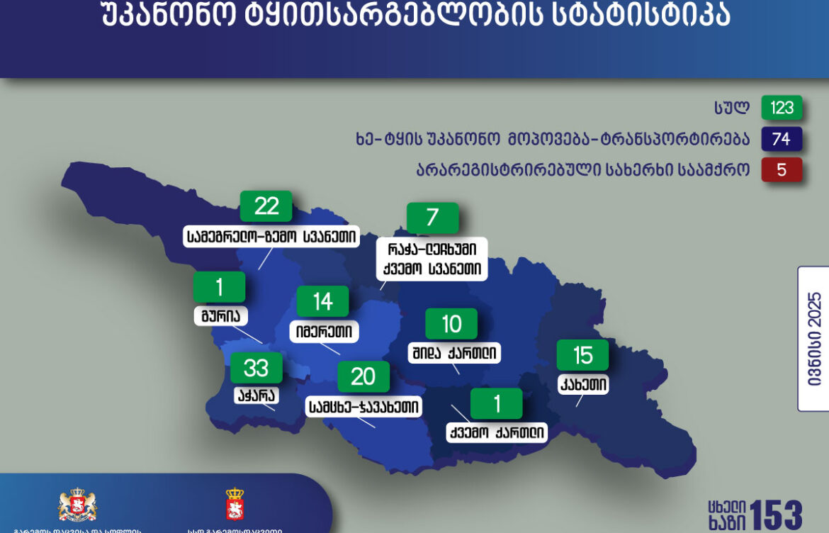 აჭარაში უკანონო ტყითსარგებლობის 33 ფაქტი გამოვლენდა