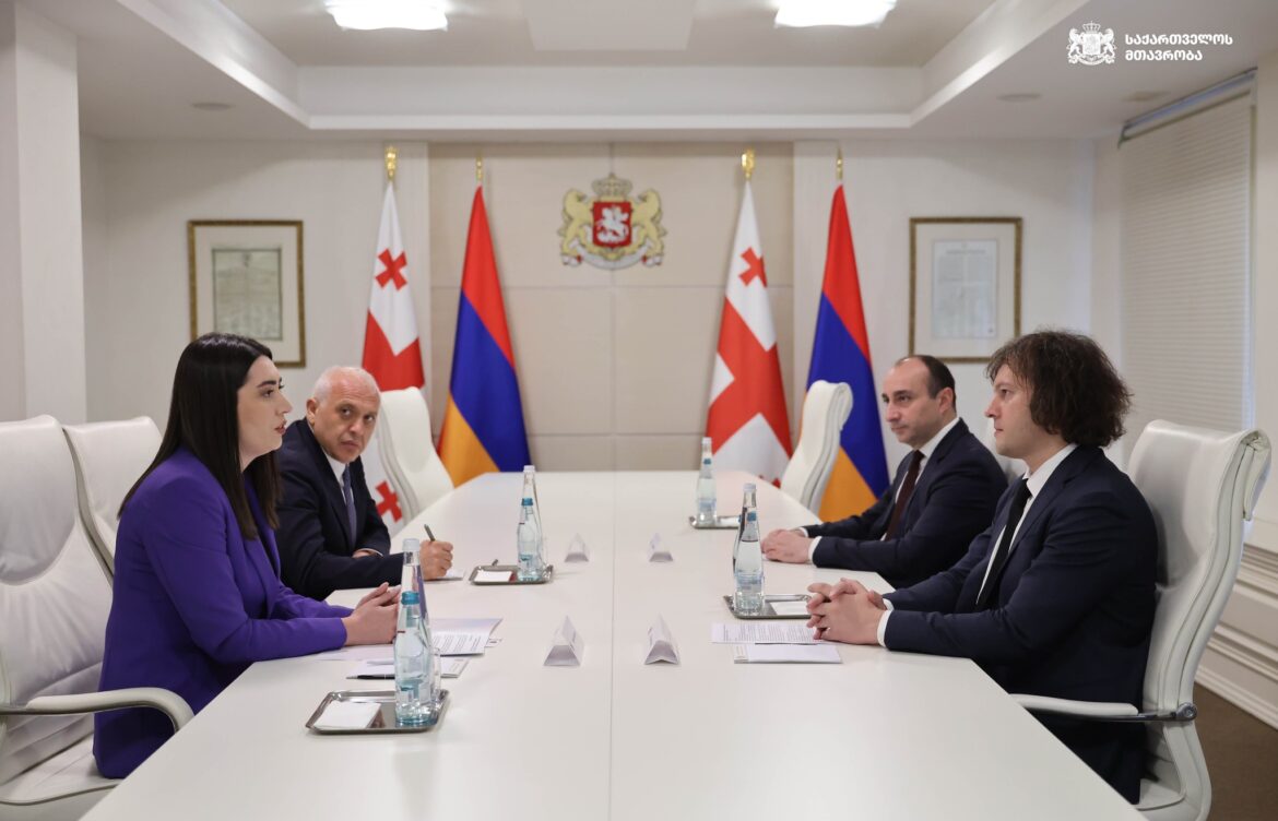 ირაკლი კობახიძე სომხეთის შინაგან საქმეთა მინისტრს შეხვდა