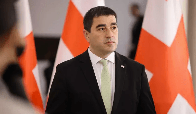შალვა პაპუაშვილი – ეს ევროკავშირის საელჩოს მიერ დაფინანსებული და წახალისებული ქსენოფობიაა
