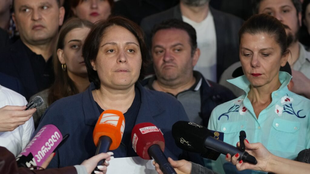 შიმშილობის პოლიტიკური განაცხადი და ოპოზიციის ნაწილის გადაწყვეტილება