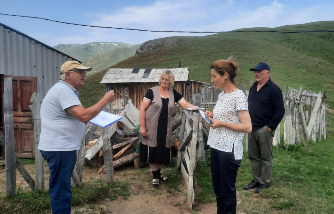 ექსტენციის მიწოდება