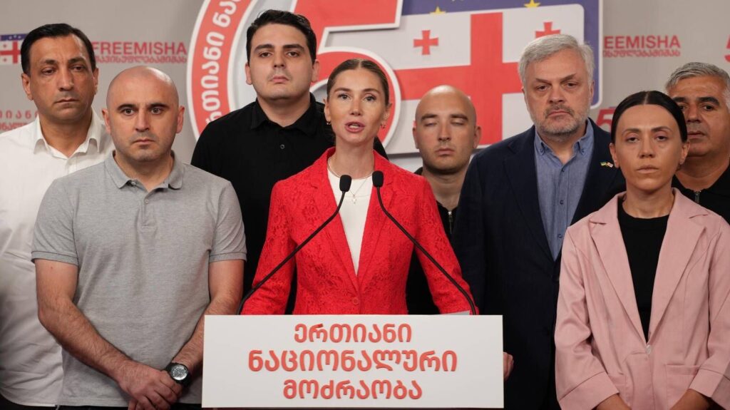 თინა ბოკუჩავა – პარლამენტის დროებითი საგამოძიებო კომისია რუსეთის დაკვეთითაა შექმნილი