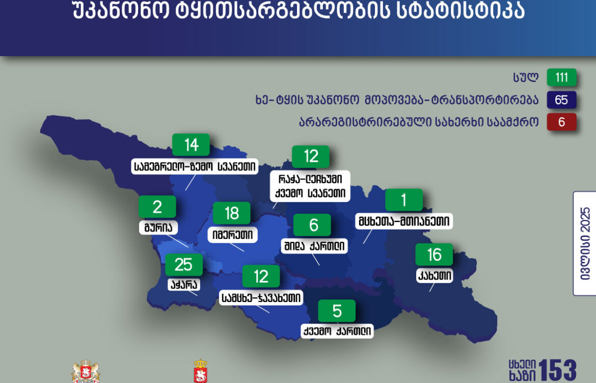 აჭარაში უკანონო ტყითსარგებლობის 25 ფაქტი გამოვლინდა