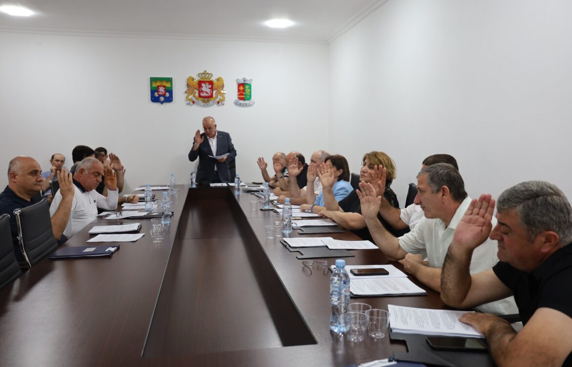  გაზრდილი ბიუჯეტი ახალ პროექტებზე გადანაწილდება