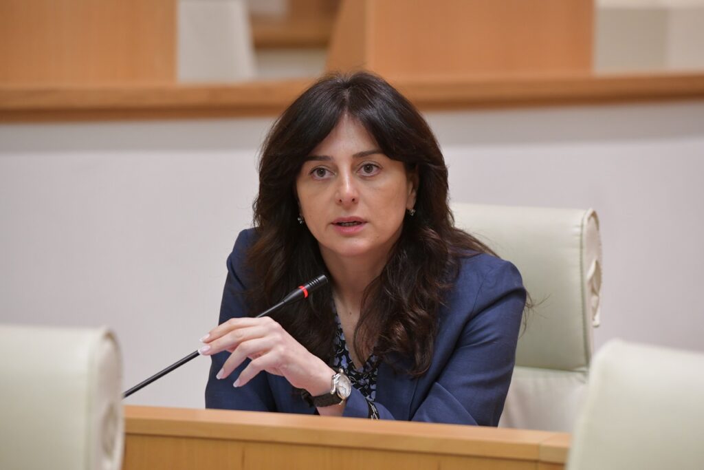 მაია ბითაძე: არანაირი ვადა არ არსებობს, როდის უნდა დაპატიჟო დამკვირვებელი