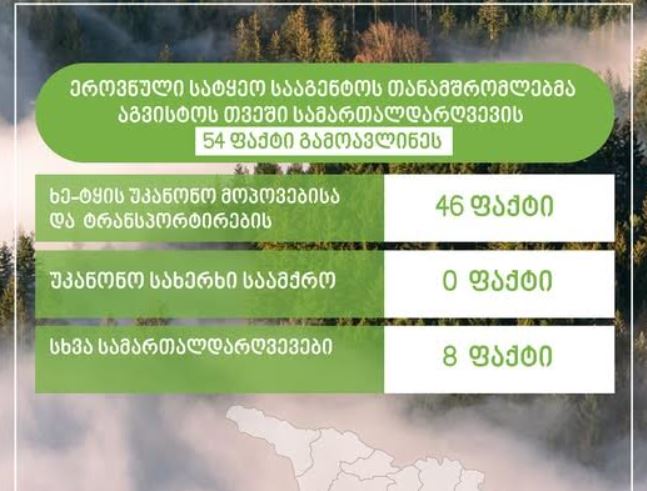 აგვისტოში 54 სამართალდარღვევის ფაქტი გამოვლინდა
