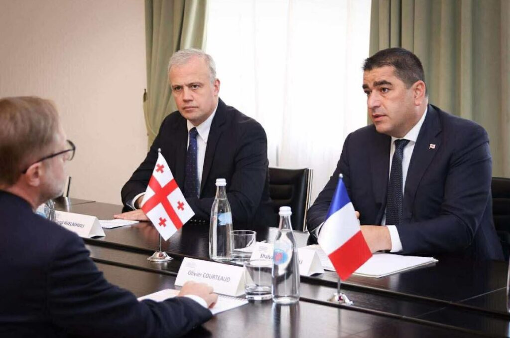 შალვა პაპუაშვილი საქართველოში საფრანგეთის რესპუბლიკის საგანგებო და სრულუფლებიან ელჩს შეხვდა