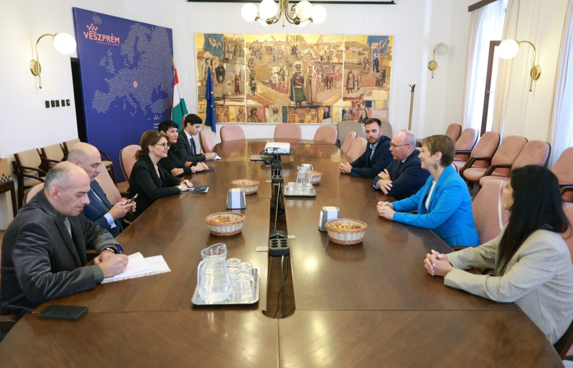 ორმხრივი თანამშრომლობის როლსა და მნიშვნელობაზე ისაუბრეს