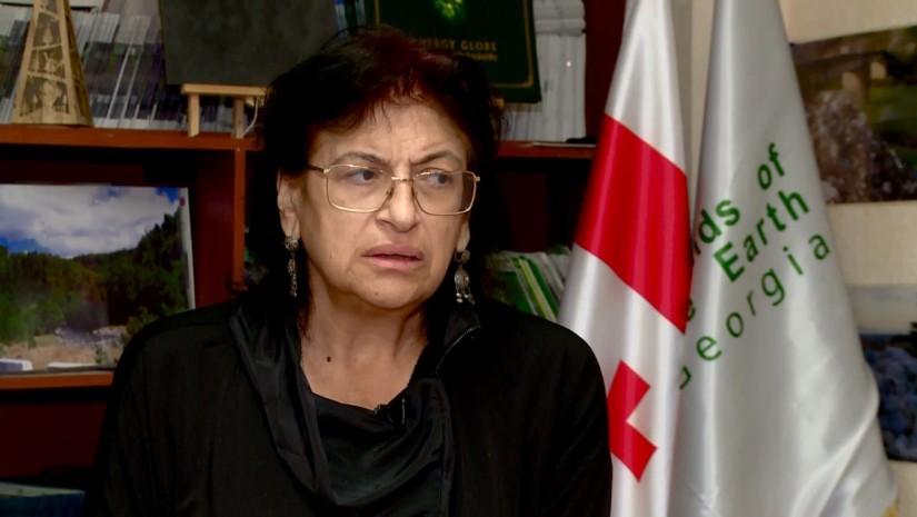 ნინო ჩხობაძე: ზღვის დონის ამაღლება ბათუმისთვის კიდევ უფრო პრობლემატურია