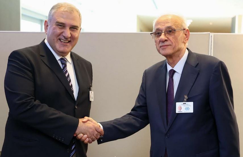 მიხეილ სარჯველაძე ბულგარეთის ჯანდაცვის მინისტრს შეხვდა