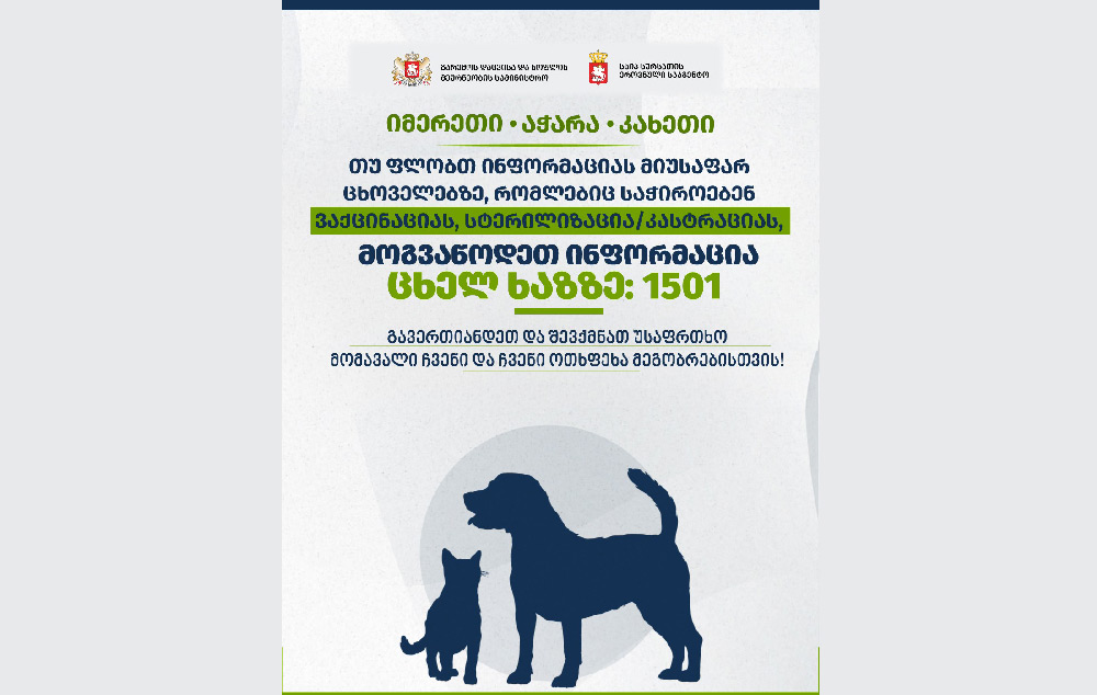 სპეციალური ეკიპაჟების მიერ თავშესაფრებში 3 761 ცხოველია გადაყვანილი