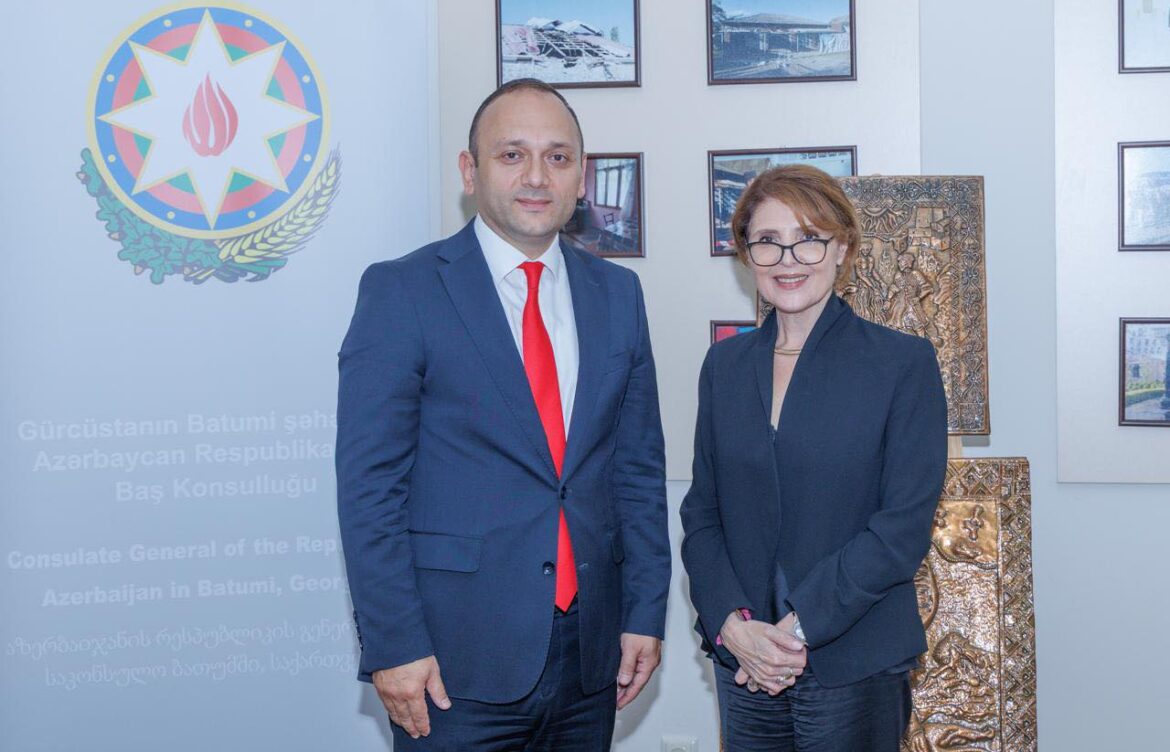 ერთობლივი ღონისძიებების განხორციელების შესაძლებლობები განიხილეს