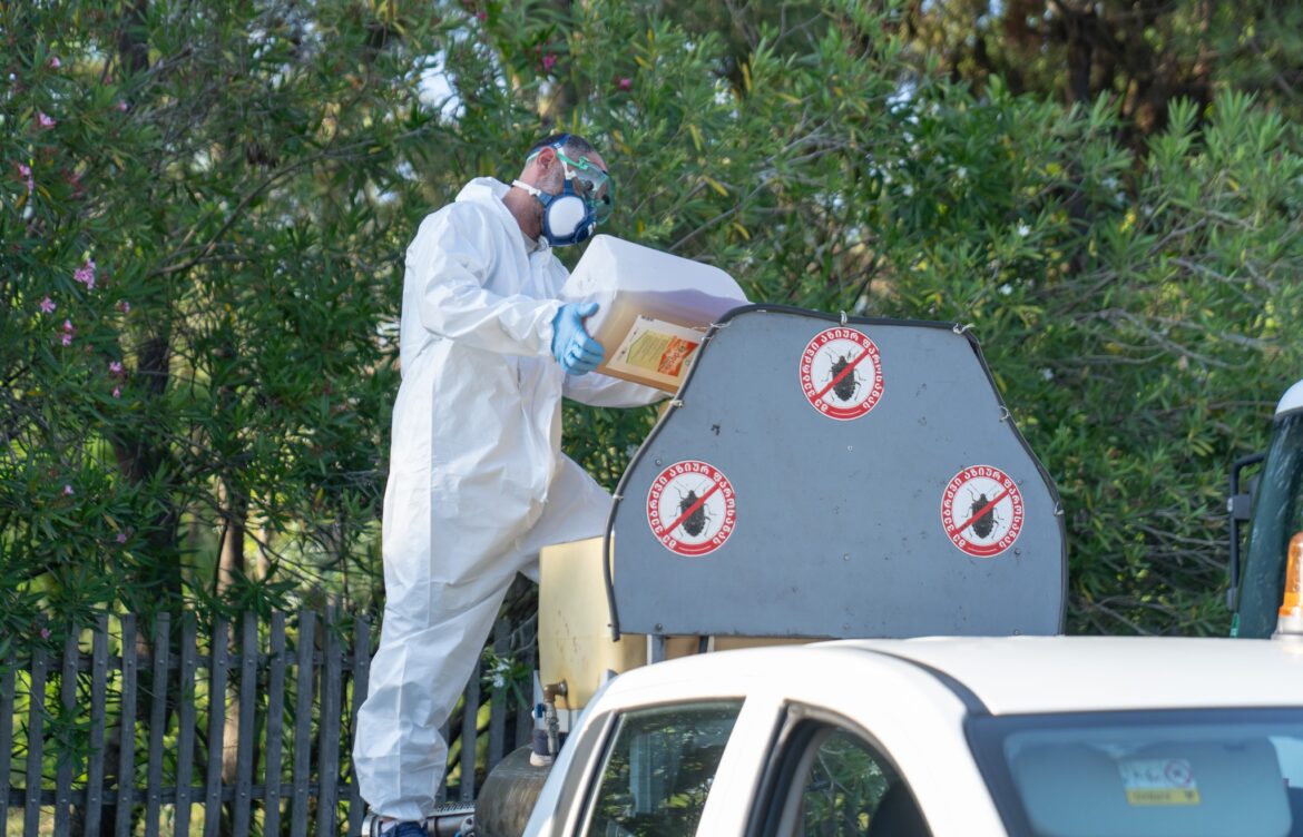 მინისტრი მავნებელთან ბრძოლის ღონისძიებების მიმდინარეობას ადგილზე გაეცნო