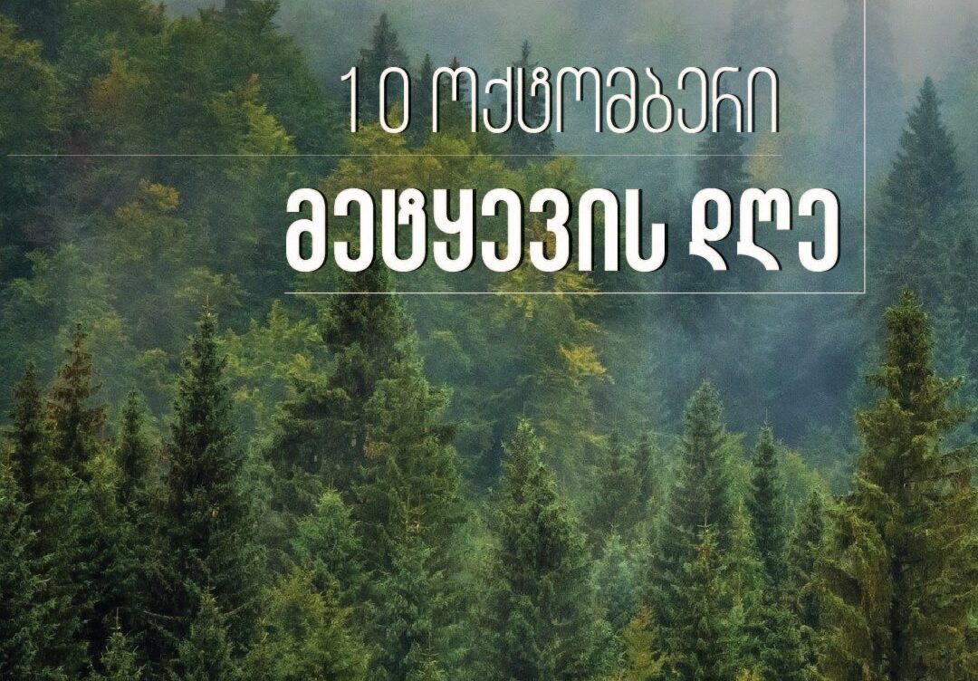 10 ოქტომბერი მეტყევის დღეა!