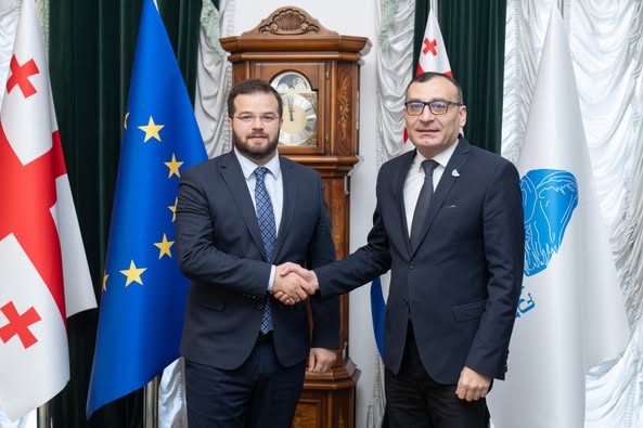 სამომავლო თანამშრომლობის საკითხები განიხილეს