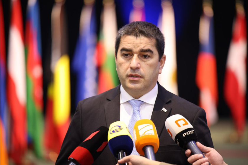 შალვა პაპუაშვილი: ნახევრად ფეხმძიმობა არ არსებობს, ან არიან საქართველოს პარლამენტის წევრები, ან არ არიან