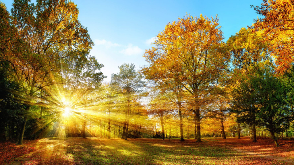 11 ნოემბრამდე თბილი და უმეტესად უნალექო ამინდი შენარჩუნდება