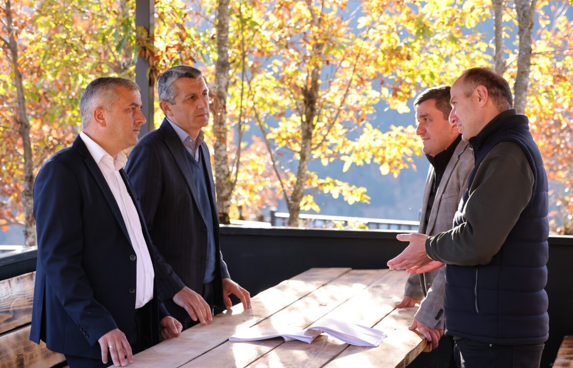 საპიკნიკე ინფრასტრუქტურა – დარჩიძეებში