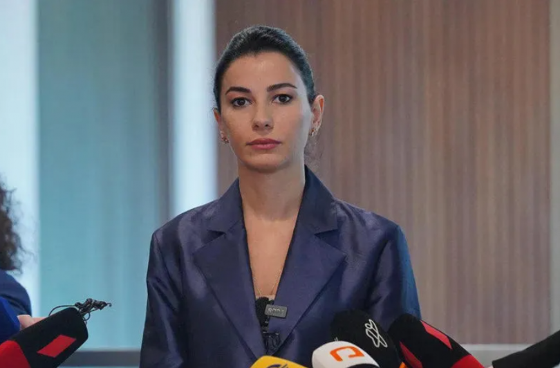 მარიამ ქვრივიშვილი: სახელმწიფო თბილისსა და გონიოში მდებარე მიწების თანამესაკუთრეა