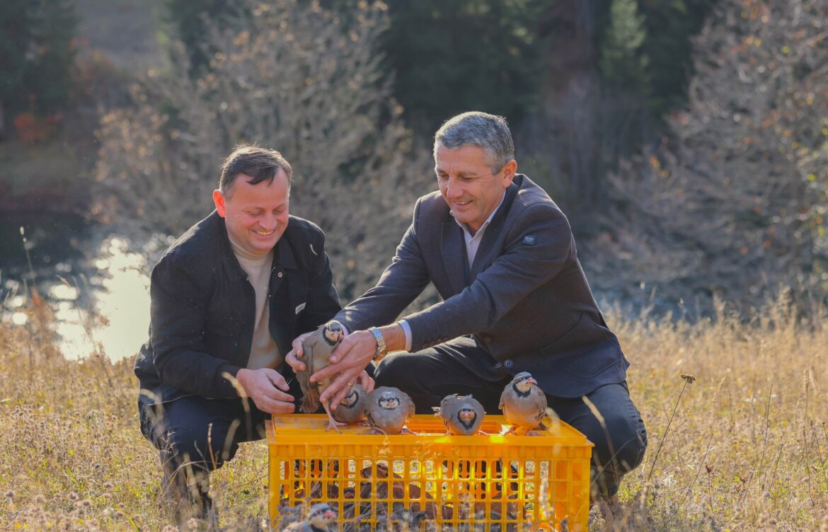 200 ფრთა კაკაბი გაუშვეს