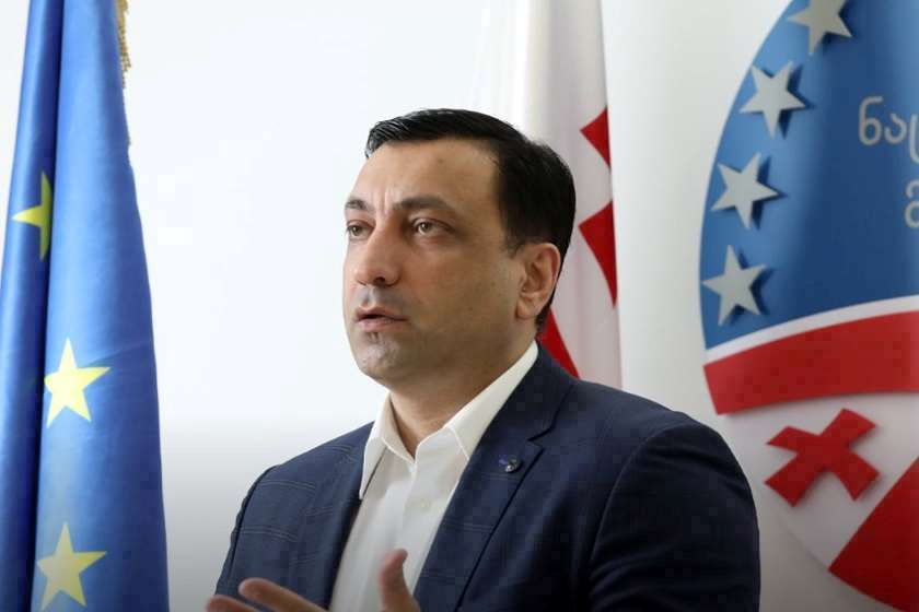 „ნაცმოძრაობა“ საკონსტიტუციო ბრძოლას იწყებს  