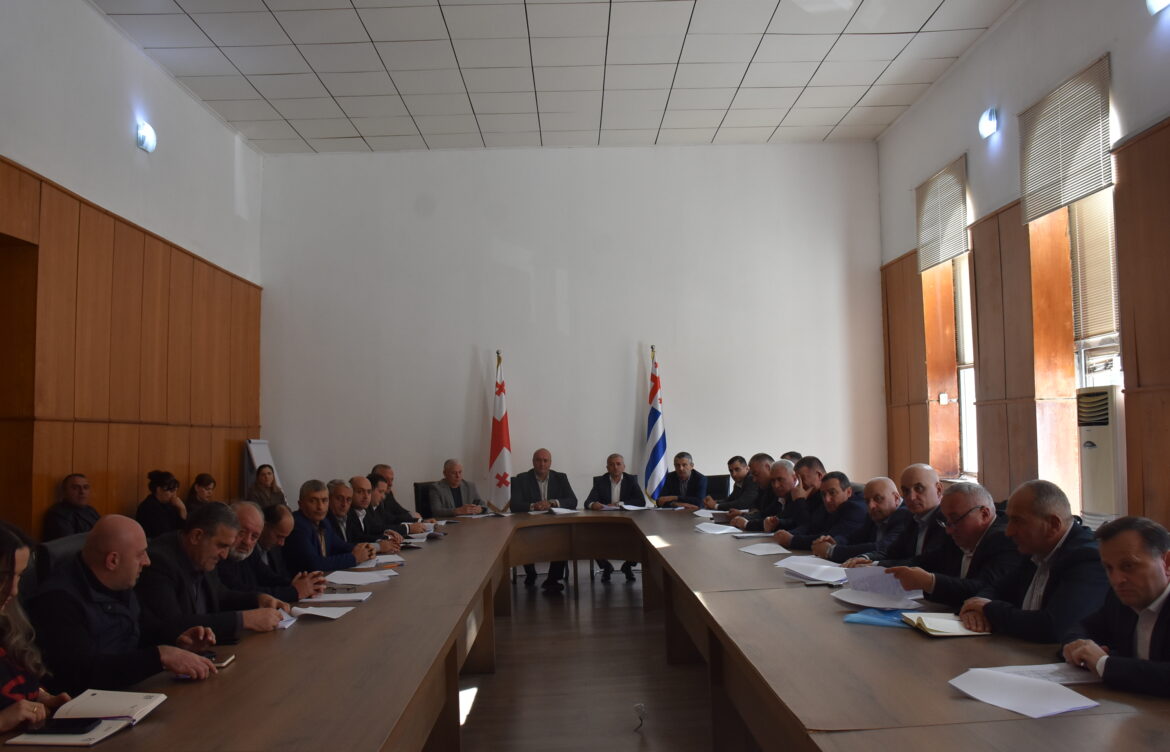 კომისიაზე ბიუჯეტის პროექტი განიხილეს