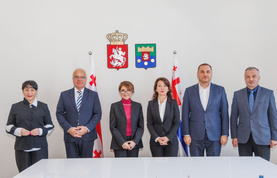 მხარეებმა ორმხრივ თანამშრომლობაზე ისაუბრეს