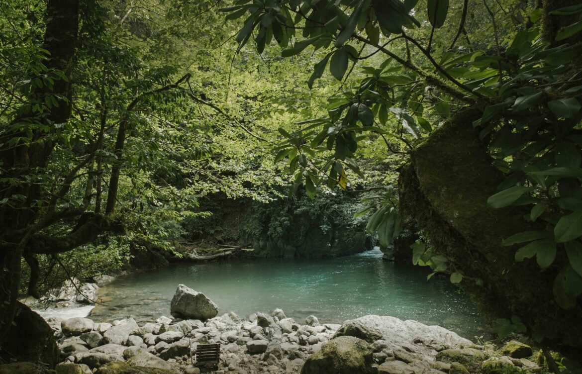 დაცულ ტერიტორიებზე რეკორდული რაოდენობის ვიზიტორი დაფიქსირდა