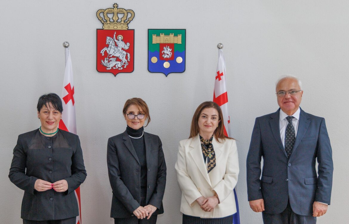 ელისო ბოლქვაძე სომხეთის გენერალურ კონსულს ბათუმში ნარინე მათოსიანს შეხვდა