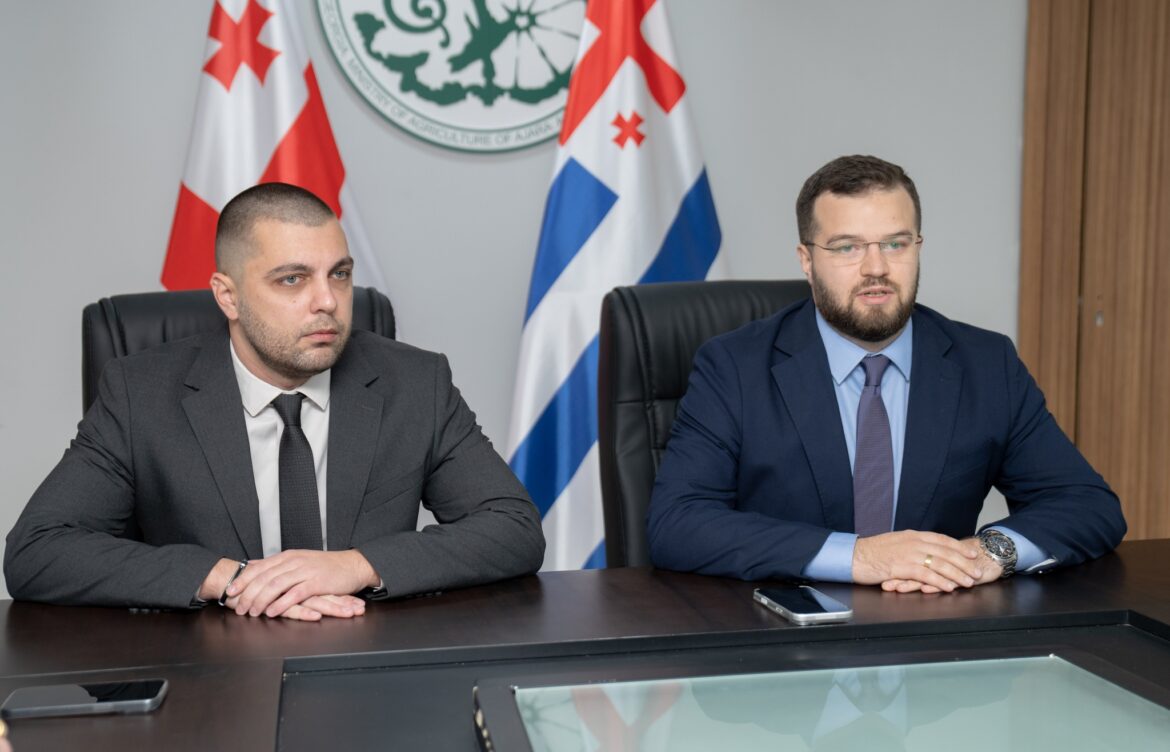 გიორგი ფანცხავა სოფლის მეურნეობის მინისტრის პირველი მოადგილეა