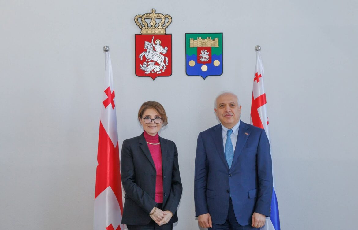 სამუშაო შეხვედრა სომხეთის საგანგებო და სრულუფლებიან ელჩთან