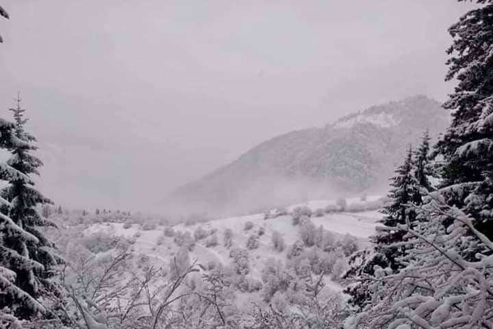 მაღალი ზონის სოფლებში თოვლის საფარი 1 მეტრს აღწევს