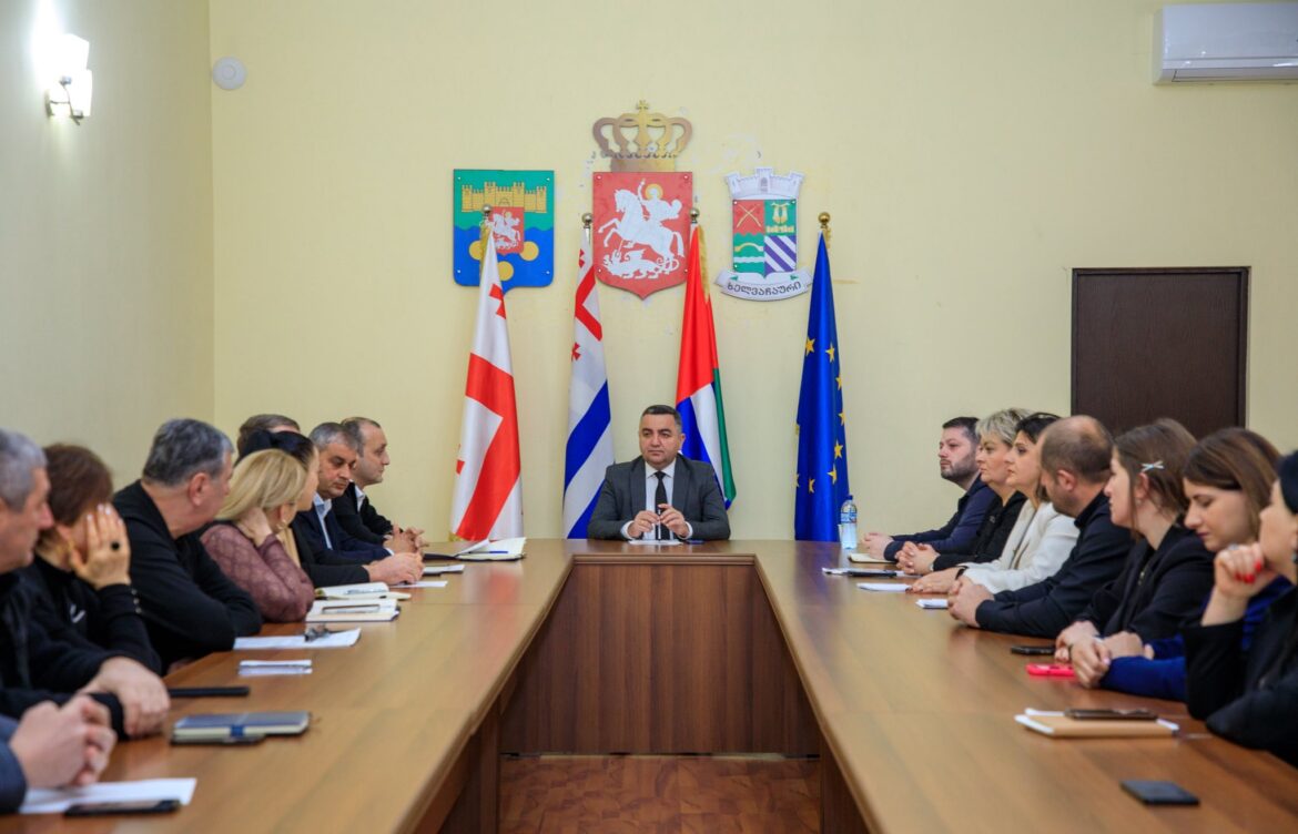 შეხვედრა – მოსახლეობის საჭიროებებზე დროული და ეფექტიანი რეაგირებისთვის