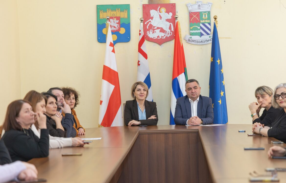 სოფლის ექიმებს 2026 წლის პროგრამები გააცნეს