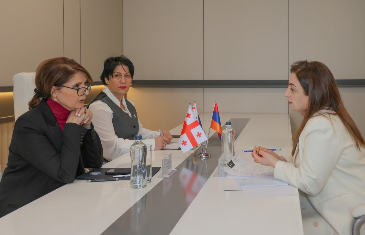 ელისო ბოლქვაძე სომხეთის გენერალურ კონსულს შეხვდა