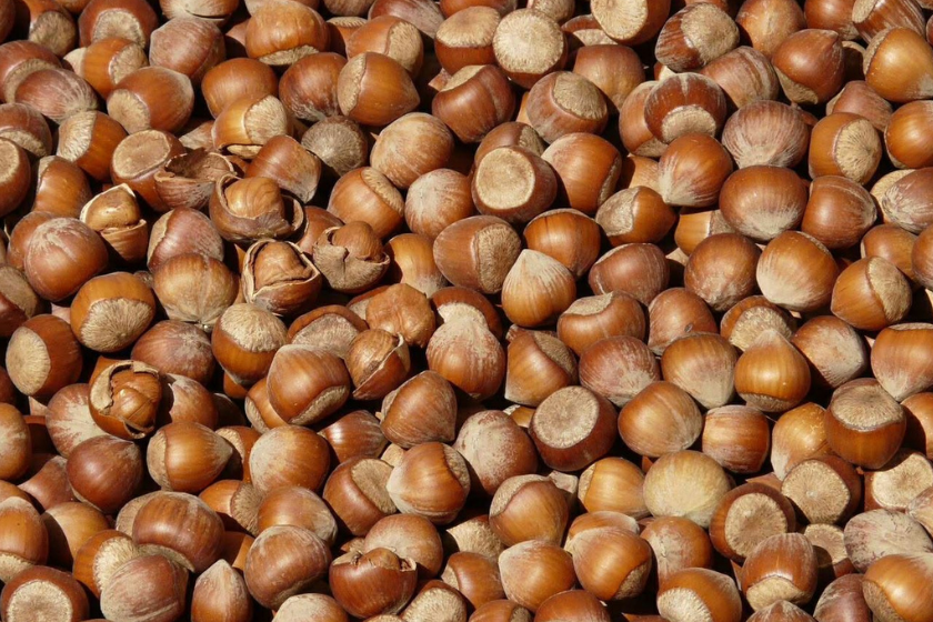 საქართველოდან ექსპორტზე 11.7 ათასი ტონა თხილი გავიდა