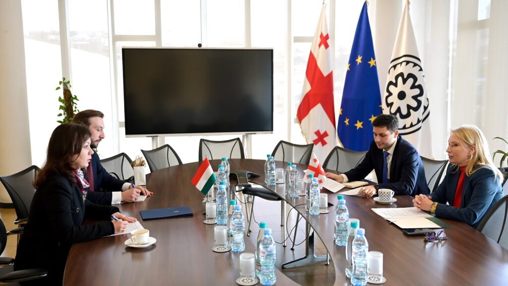 საქართველოსა და უნგრეთის ცენტრალური ბანკები თანამშრომლობის გაძლიერებას გეგმავენ