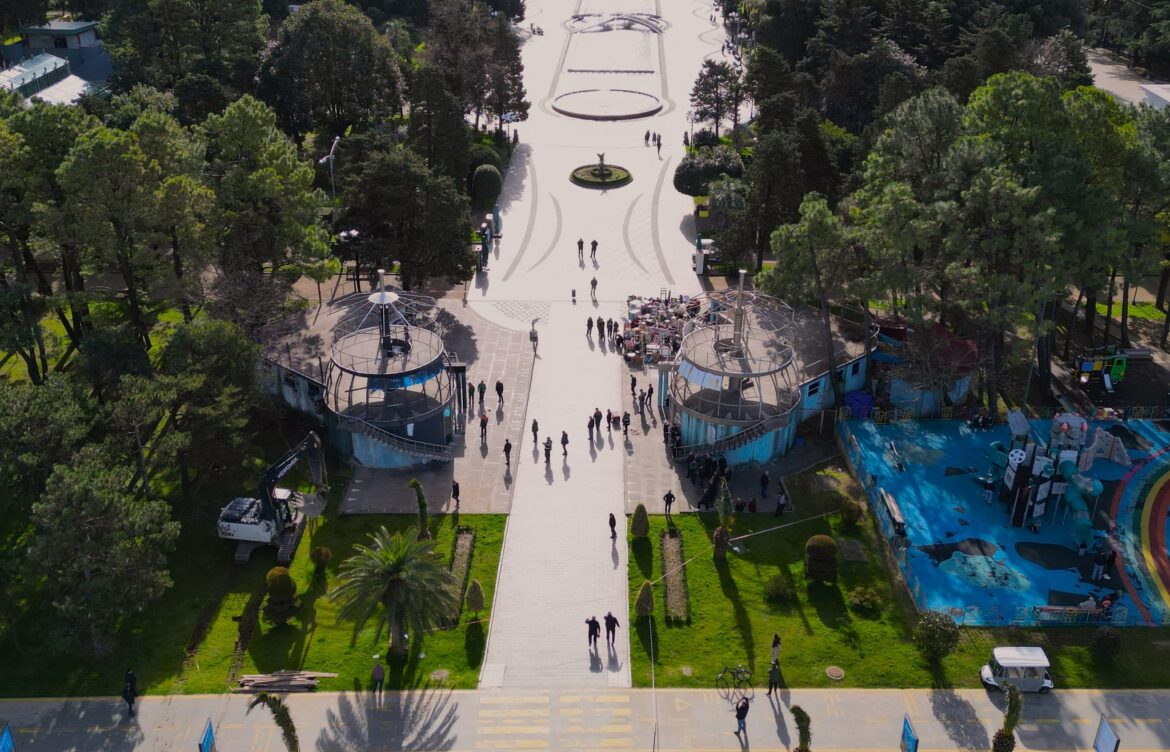 კაფე-ბარ „ტყუპების“ დემონტაჟი მიმდინარეობს