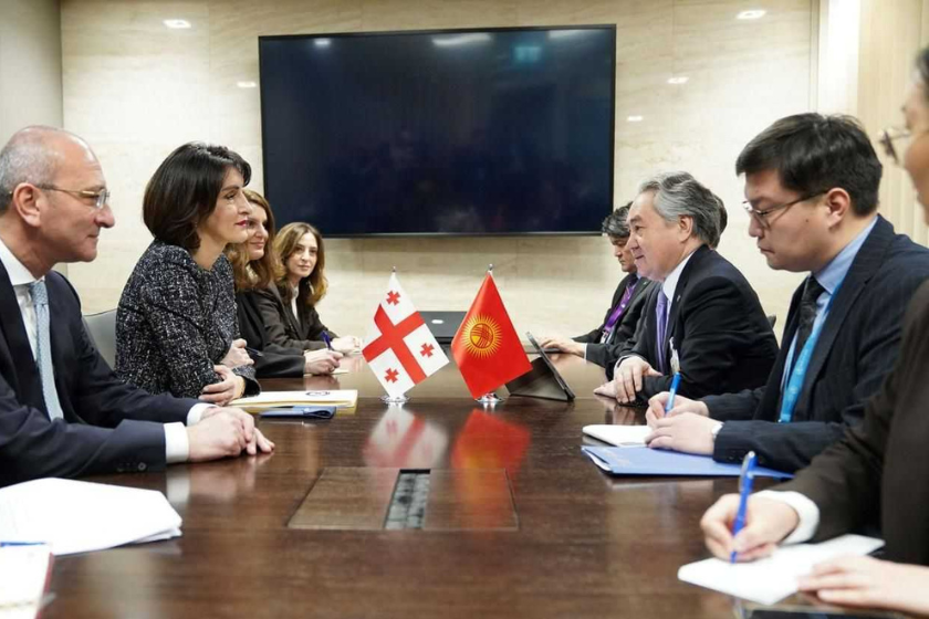 მაკა ბოჭორიშვილი ყირგიზეთის საგარეო საქმეთა მინისტრს შეხვდა