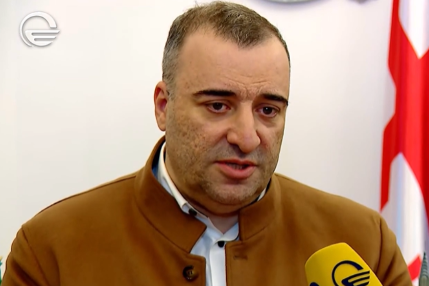 იონათამიშვილი: ევრობიუროკრატებმა უღალატეს დემოკრატიას