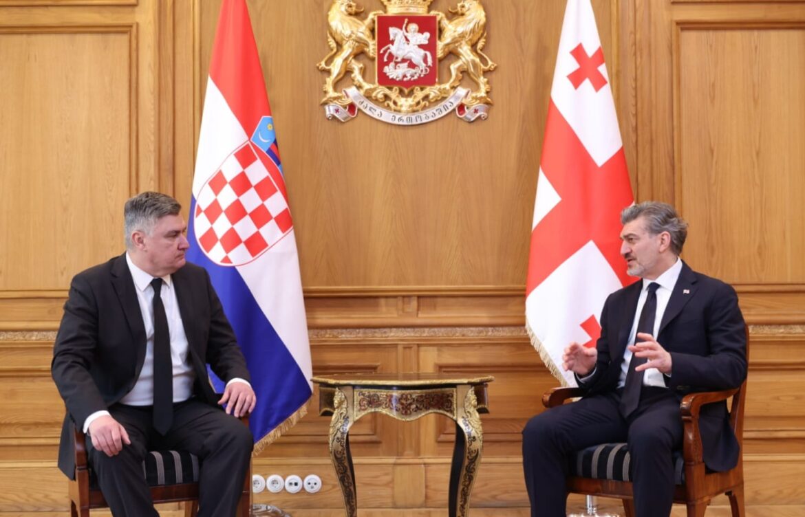 საქართველოს პრეზიდენტმა ზორან მილანოვიჩს უმასპინძლა