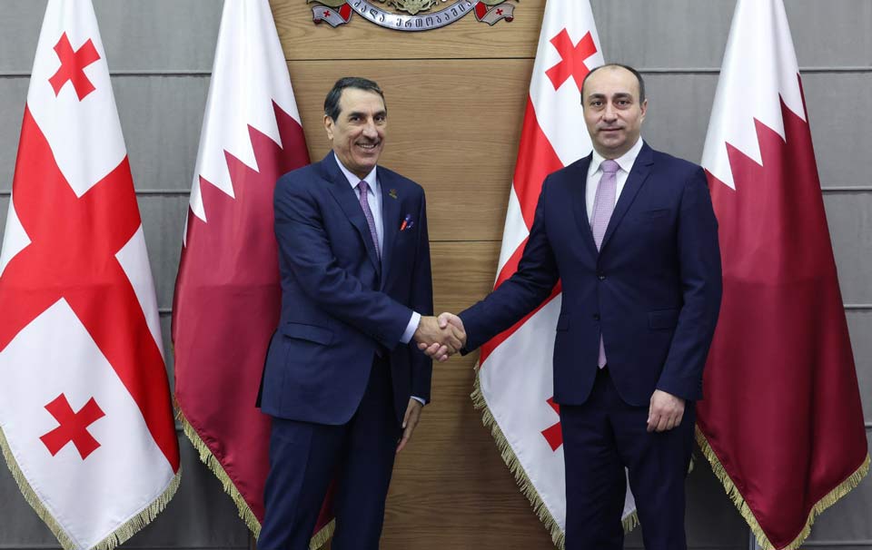 გეკა გელაძე კატარის ელჩს შეხვდა