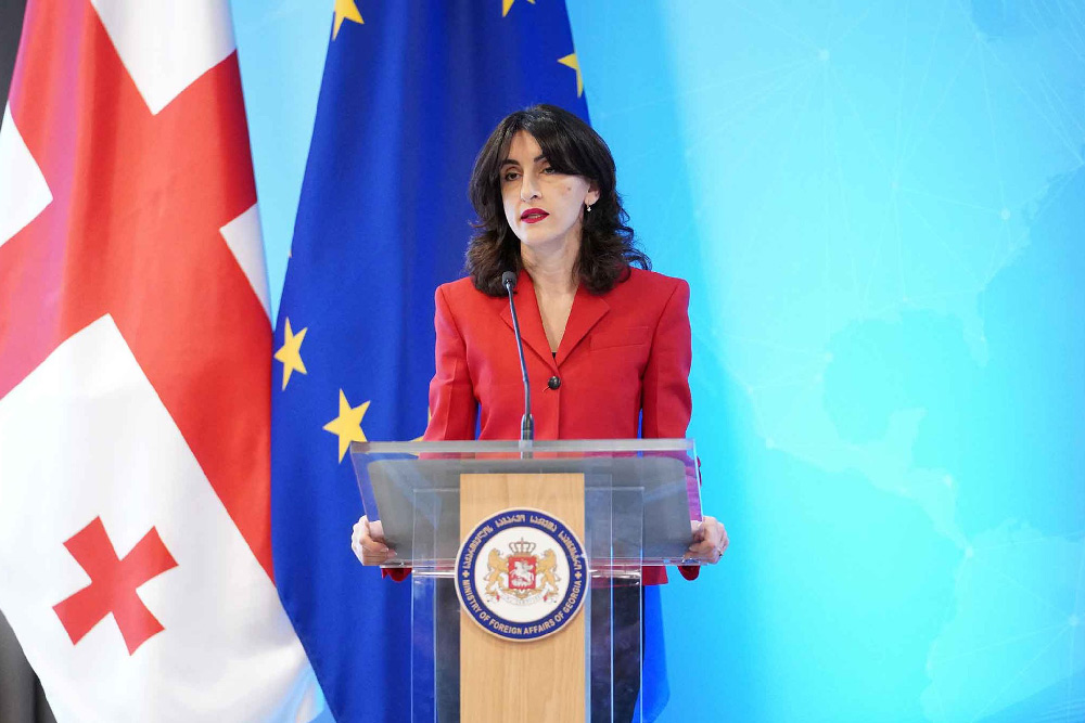 მაკა ბოჭორიშვილის საერთაშორისო შეხვედრები და მთავარი აქცენტები