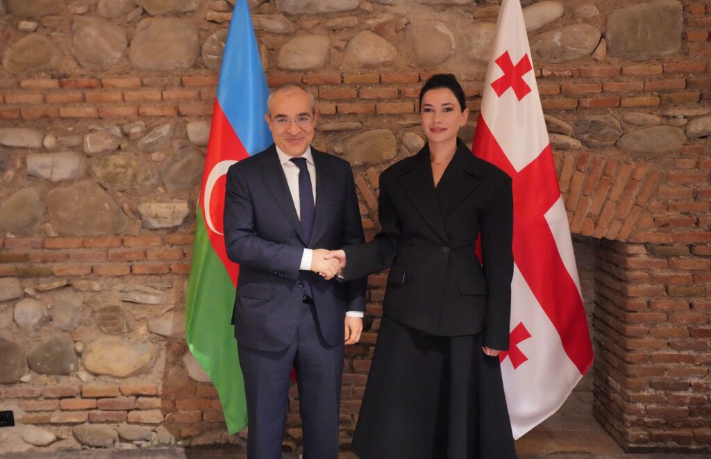 მარიამ ქვრივიშვილის შეხვედრა აზერბაიჯანის ეკონომიკის მინისტრთან