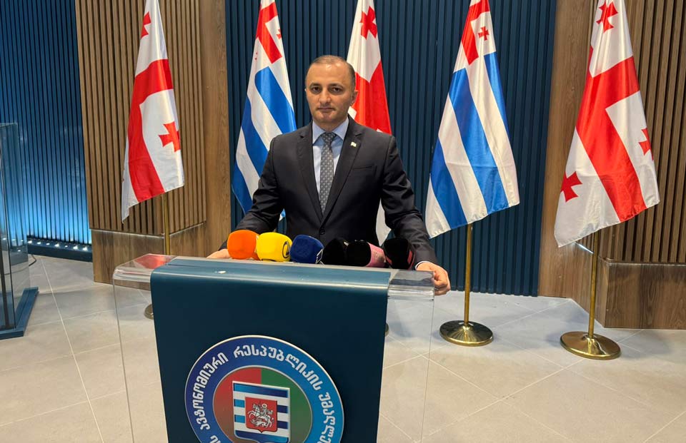 დავით გაბაიძე : მანამდე გავხდი უმაღლესი საბჭოს თავმჯდომარე, ვიდრე თორნიკე რიჟვაძე დაიკავებდა მთავრობის თავმჯდომარის თანამდებობას